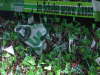 Stimmung